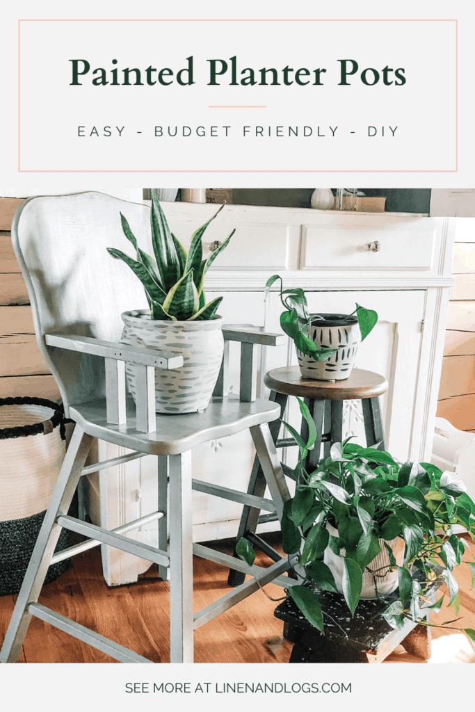 Where to Find Budget-Friendly Pots and Planters