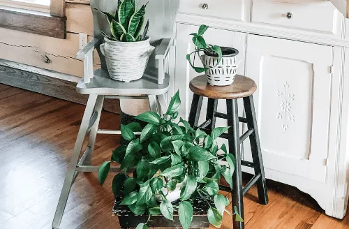 How to Paint Planter Pots