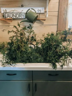 soaking freshly cut cedar and pine branches