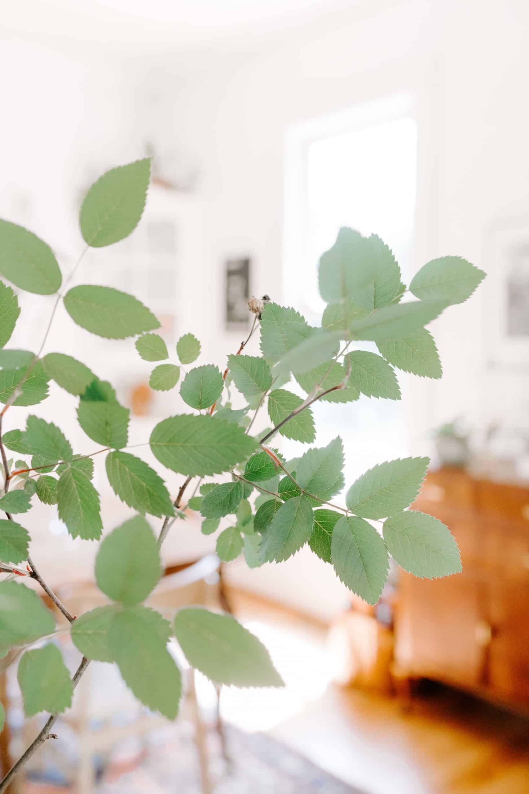 Sample Product 4 Linen and Logs