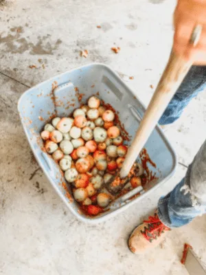 Smashing Apples with a sledgehammer for Home Made Apple Cider