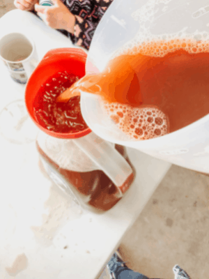 pouring apple cider into storage container