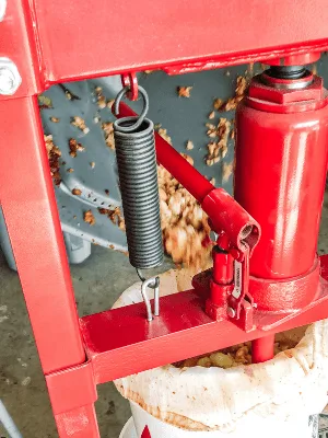 crushed apples for diy apple cider