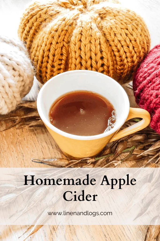 Homemade Apple Cider