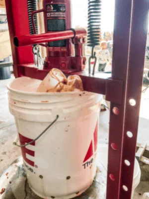 apple cider mesh bag in 5-gallon bucket
