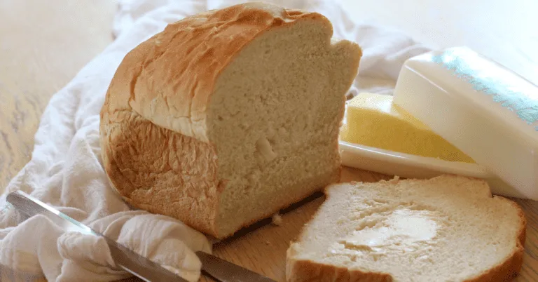 Homemade sandwich bread recipe