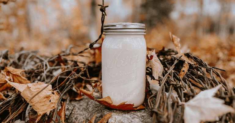 a quart jar of rendered beef tallow sitting on a rock in the fall leaves